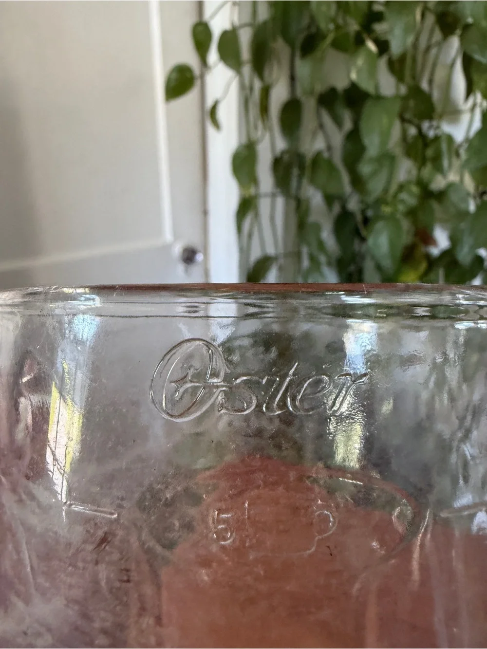 OSTER Glass Blender Pitcher with Black Lid and Stainless Base Replacement
